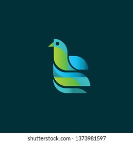 Bird vector logo design template