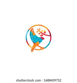 Bird vector logo design template.
