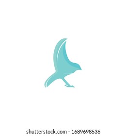 Bird vector logo design template.