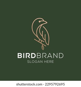 Bird vector logo. Fancy bird. Line vector logo design.
