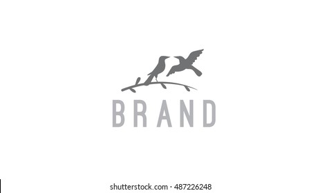 Bird vector logo template