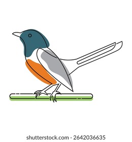 Bird vector logo template design