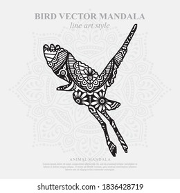 Bird Vector Mandala Line Art Style