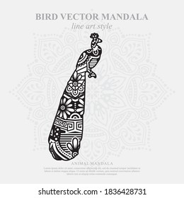 Bird Vector Mandala Line Art Style