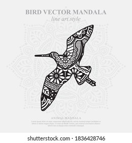 Bird Vector Mandala Line Art Style