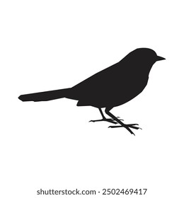 bird vector Many birds flying on sky isolated on white background.
