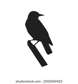 bird vector Many birds flying on sky isolated on white background.
