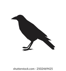 bird vector Many birds flying on sky isolated on white background.
