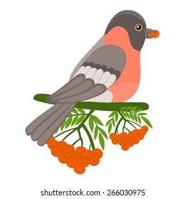 Bird vector Bird on a branch with green leaves Robin bird and sorbus fruit berries vector illustration Bullfinch bird, red bird, red breast bird, colorful bird New year celebration symbol Forest theme