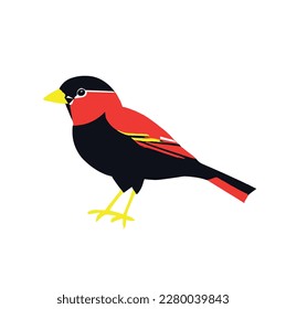 bird vector on white background, vector illustration, vector art work