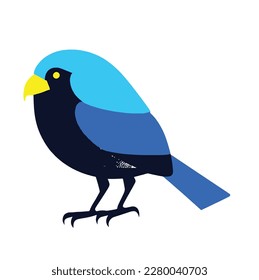 bird vector on white background, vector illustration, vector art work