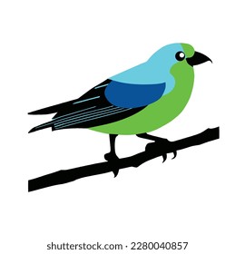 bird vector on white background, vector illustration, vector art work