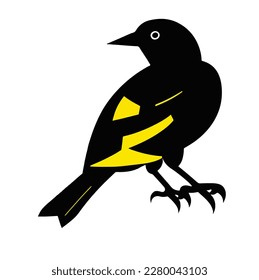 bird vector on white background, vector illustration, vector art work