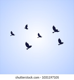 bird vector picture