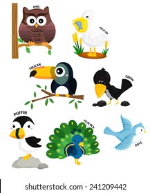 bird vector set