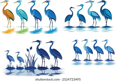  bird vector, set of bird  