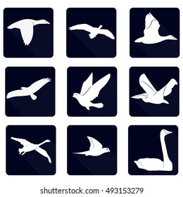 bird Vector Silhouette