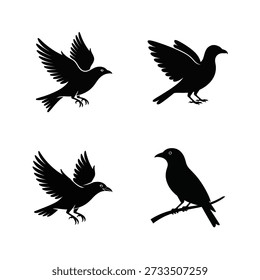 bird Vector silhouette art bundle 