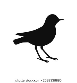 Bird vector silhouette icon. Animal bird nature wildlife black sparrow hawk icon.