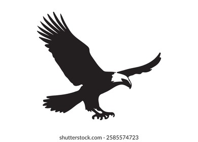 Bird with Vector Silhouette image