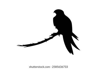 Bird with Vector Silhouette image