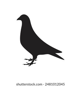 Bird vector silhouette logo. Animal bird dove nature wildlife pigeons icon.