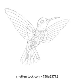 Bird vector sketch icon isolated on background. Hand drawn Bird icon. Bird sketch icon for infographic, website or app.