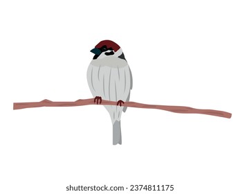 bird in vector. sparrow on a branch.
