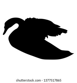 Bird vector, swan vector illustration