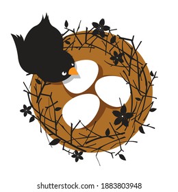 bird vector take care three eggs in nest flat design