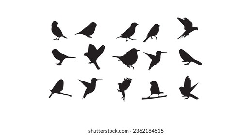 Bird vectors in many formats for illustrations and bird art.