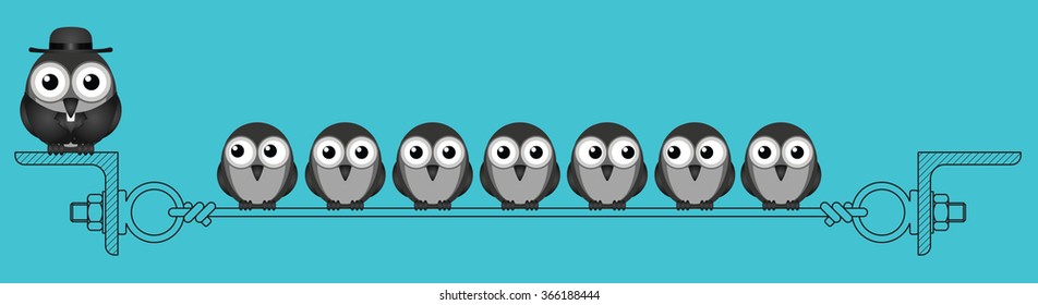Bird Vicar and congregation perched on a steel wire isolated on blue background