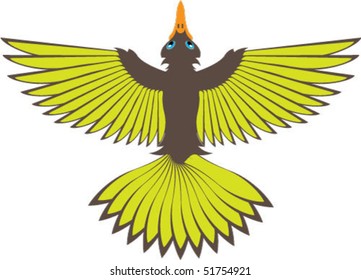 Bird view of a bird