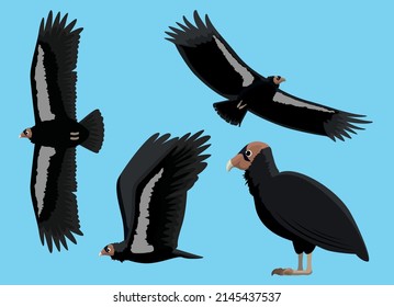 Bird Vulture California Condor Cartoon Vector Set