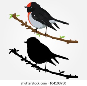 Bird Wall Decal