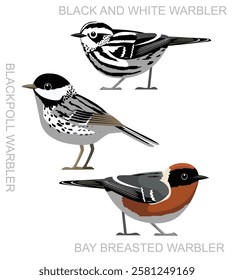 Bird Warbler Black and White America Set Cartoon Vector