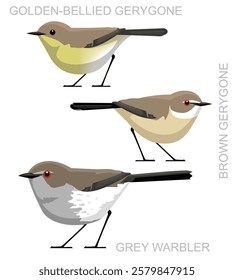 Bird Warbler Gerygone Set Cartoon Vector
