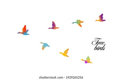 Bird watercolor. A ducks flying south. Mixed media. Vector illustration