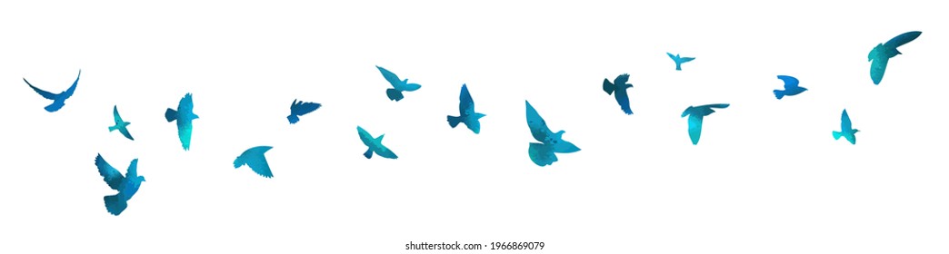 Bird watercolor. A flock of blue birds. Mixed media. Vector illustration