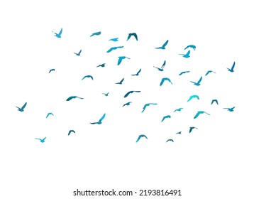 Bird watercolor. A flock of blue birds. Mixed media. Vector illustration
