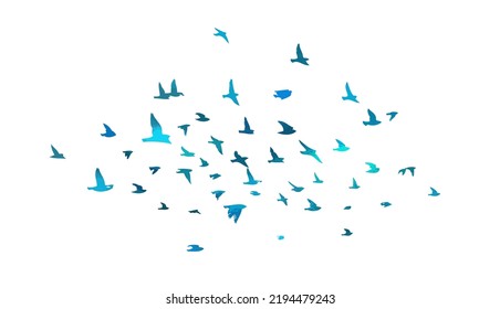 Bird watercolor. A flock of blue birds. Mixed media. Vector illustration