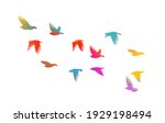 Bird watercolor. A flock of colorful birds. Mixed media. Vector illustration