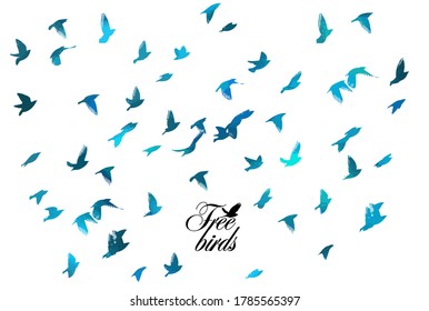 Bird watercolor. A flock of colorful birds. Mixed media. Vector illustration