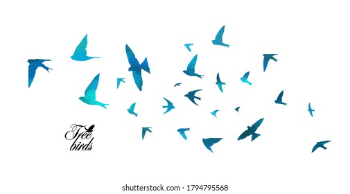 Bird watercolor. A flock of colorful birds. Mixed media. Vector illustration