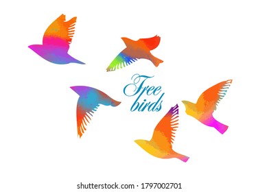 Bird watercolor. A flock of colorful birds. Mixed media. Free birds. Vector illustration