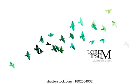 Bird watercolor. A flock of colorful birds. Mixed media. Vector illustration