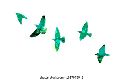 Bird watercolor. A flock of colorful birds. Mixed media. Vector illustration