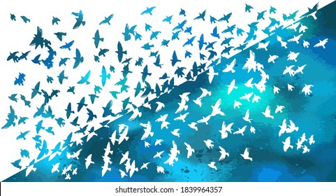 Bird watercolor. A flock of colorful birds. Mixed media. Vector illustration