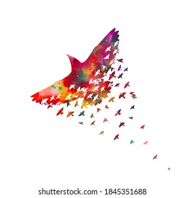 Bird watercolor. A flock of colorful birds. Mixed media. Abstraction from birds. Vector illustration