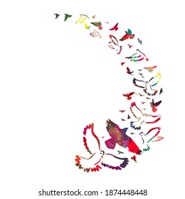 Bird watercolor. A flock of colorful birds. Mixed media. Vector illustration
